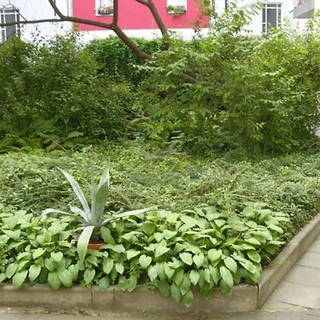 Prenzlberg Guest house